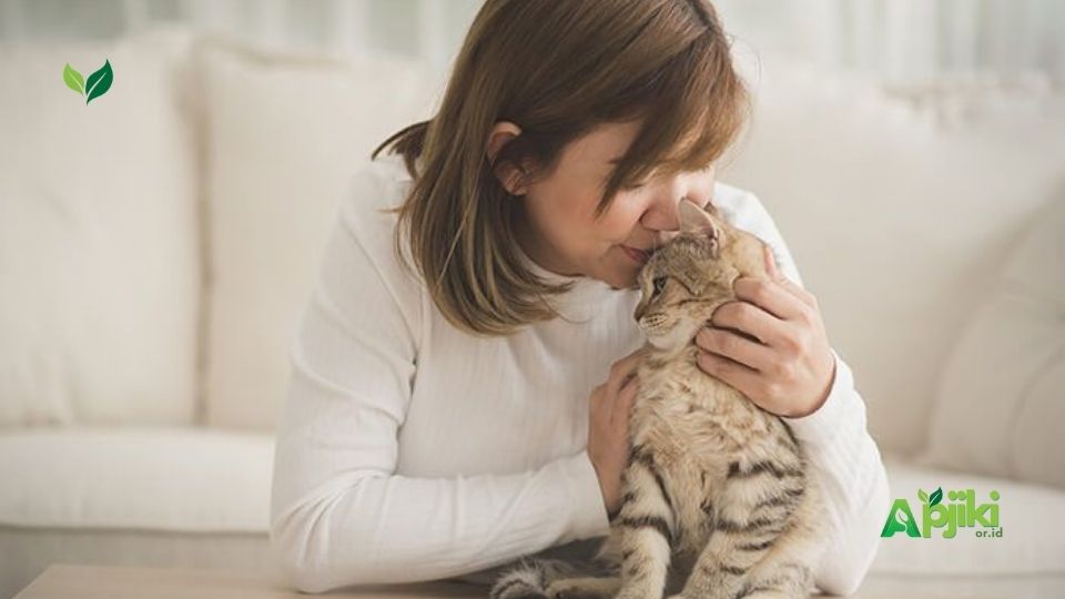 Bahaya Bulu Kucing yang Perlu Kamu Waspadai