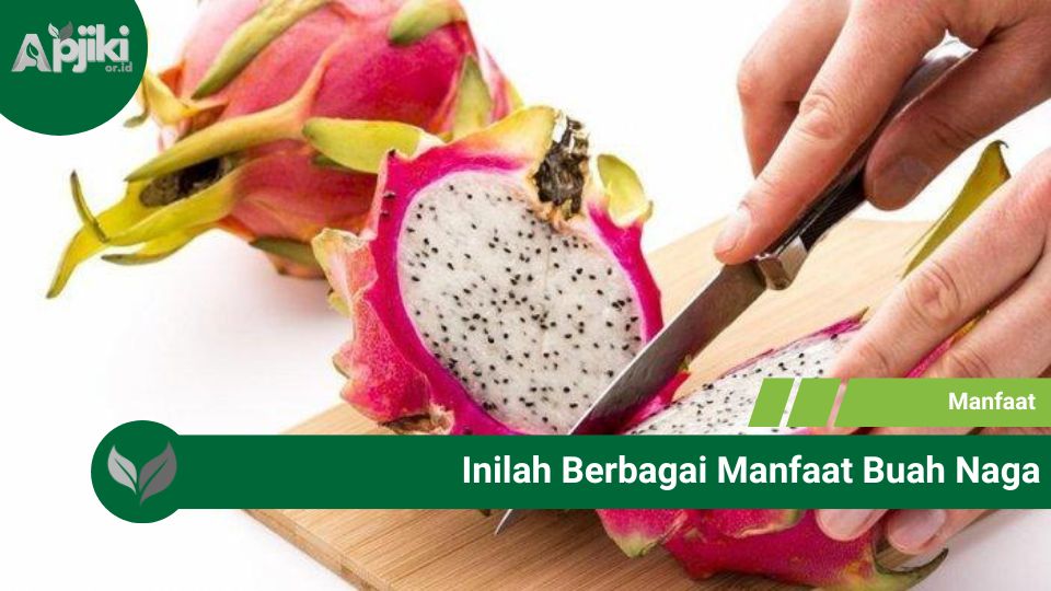 Inilah Berbagai Manfaat Buah Naga