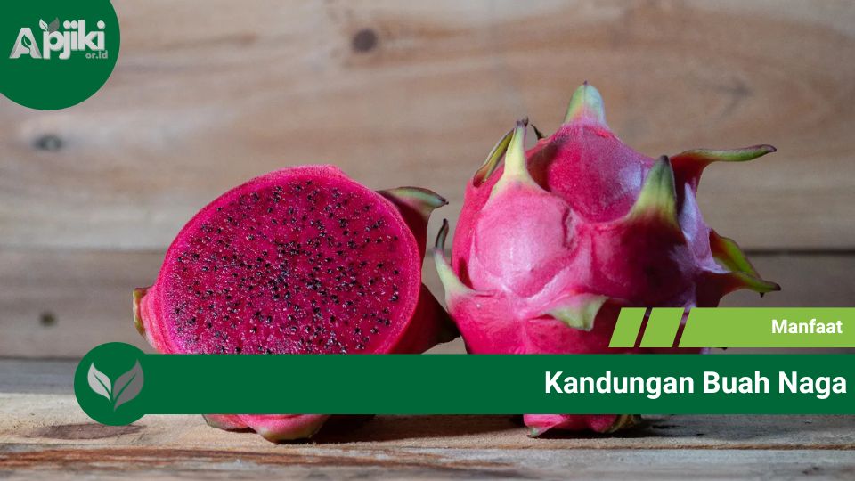 Kandungan Buah Naga