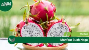 6 Manfaat Buah Naga yang Wajib Kamu Ketahui untuk Kesehatan