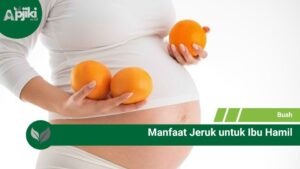 6 Manfaat Jeruk untuk Ibu Hamil: Nutrisi Lezat yang Kaya Khasiat