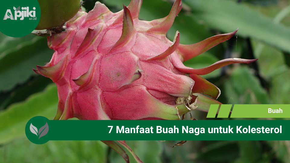 7 Manfaat Buah Naga untuk Kolesterol, Terbukti Menurunkan Risiko!