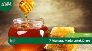 7 Manfaat Madu untuk Diare yang Harus Kamu Tahu